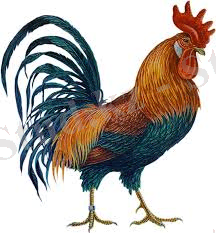 C:\Users\Айханым\Pictures\Новая папка\index.jpg