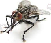 C:\Users\Айханым\Pictures\Новая папка\indexтит.jpg