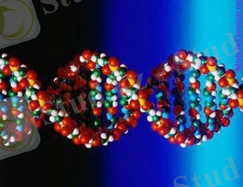 programmirovanie-molekul-dnk-0