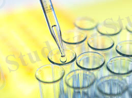 C:\Users\АСХК\Desktop\images (3).jpg