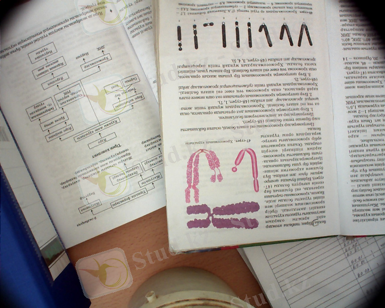 D:\Documents and Settings\Admin\Мои документы\11-12-2013-10-03-16.jpg