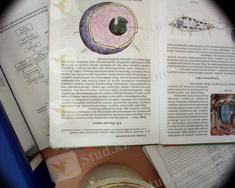 D:\Documents and Settings\Admin\Мои документы\11-12-2013-10-02-26.jpg