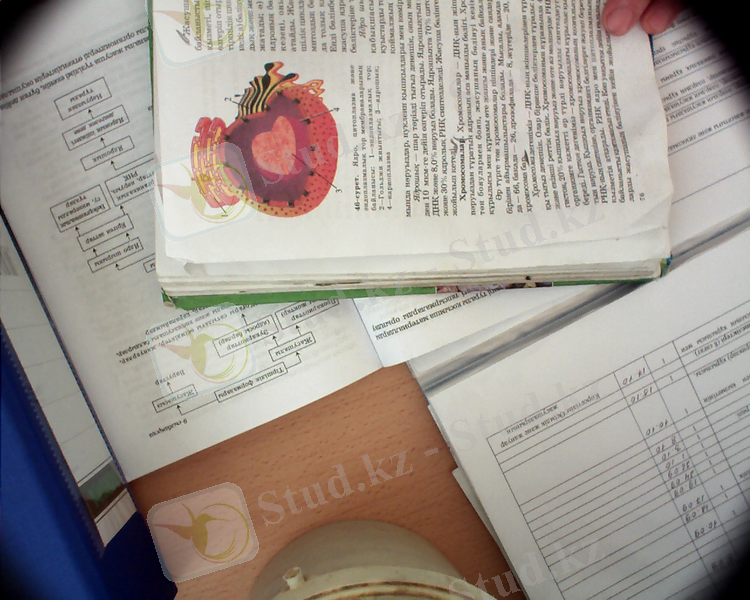 D:\Documents and Settings\Admin\Мои документы\11-12-2013-10-02-54.jpg