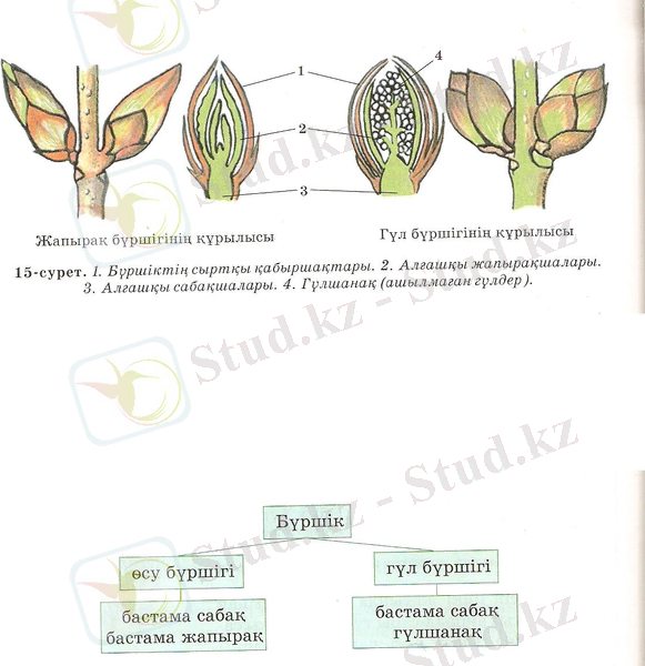 C:\Documents and Settings\USER\Мои документы\My Scans\2010-11 (ноя)\scan0006.jpg