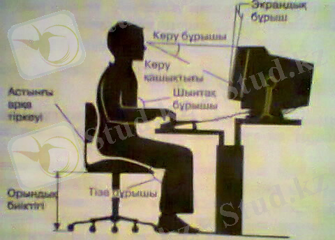 C:\Users\user\Desktop\Новая папка\Фото0016.jpg