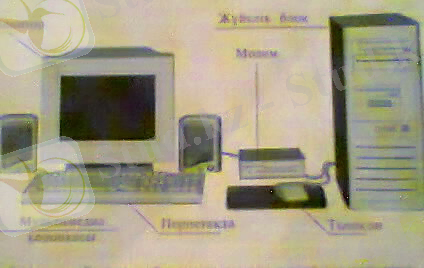 C:\Users\user\Desktop\Новая папка\Фото0019.jpg