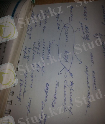 C:\Users\user\Desktop\Новая папка\20131122_180723.jpg